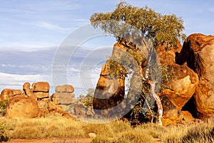 Stones in Australian outback. Devils Marbles Karlu Karlu Conservation Reserve, Northern Territory, Australia photo