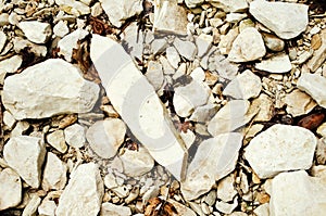 Stones with autumn leaves. Background