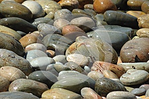 Stones (Background)