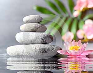 Stones balance with flower lily on grey background