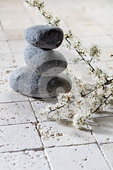 Stones in balance with fresh white spring flowers for wellbeing