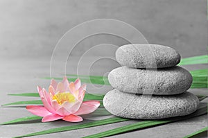 Stones balance and plant. Zen and spa concept.