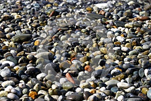 Stones on the beach