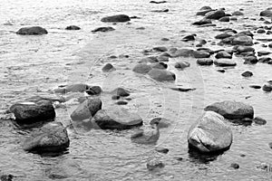 Stones on the beach