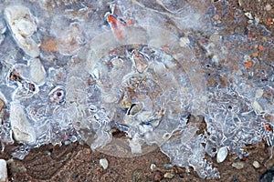 Stones on the beach