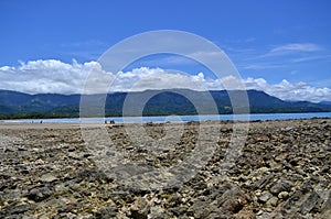 Stones in the beach photo