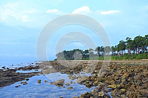 Stones at Beach with Littoral Forest and Blue Sky in Background - Landscape at Neil island, Andaman Nicobar Islands, India