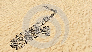 Stones on beach sand handmade symbol shape, golden sandy background, saxophone sign