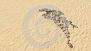 Stones on beach sand handmade symbol shape, golden sandy background, sign of a horse rider