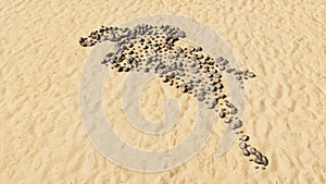 Stones on beach sand handmade symbol shape, golden sandy background, sign of a horse rider