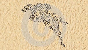 Stones on beach sand handmade symbol shape, golden sandy background, sign of a horse rider