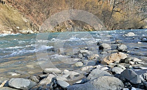 stones in a beautiful alpine river flowing in forest bank