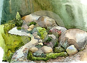 Stones, boulders, creek, grass and flowers in landscape design photo