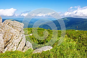 stones and boulders on the grassy alpine hillside