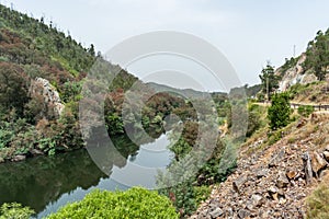 Stones and bushes on a hill by the Mondego river, Penacova PORTUGAL