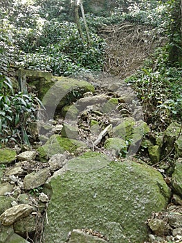 Stones in Catacumba Park Lagoa Rodrigo de Freitas Rio de Janeiro Brazil. photo
