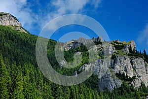 Stones in ceahlau mountains