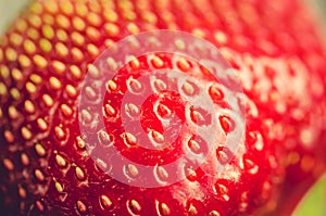 Stones close up fresh ripe strawberry/stones close up fresh ripe juicy strawberry