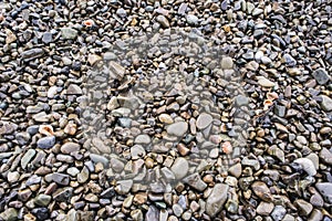 Stones Coast. Stone beach Background, texture