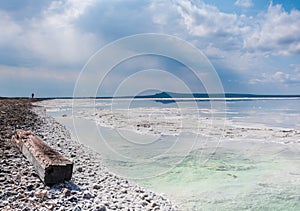 The stones are covered with a crust of salt on the shores of the salar Baskunchak. Extraction of salt