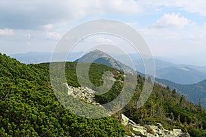 Stones covered with lichen in Gorgany - mountain range in Western Ukraine