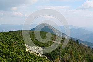 Stones covered with lichen in Gorgany - mountain range in Western Ukraine