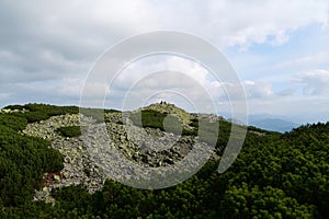 Stones covered with lichen in Gorgany - mountain range in Western Ukraine