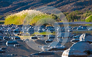 Stones covered with white salt in a shallow river, reflected in water.