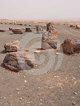 Stones in the Crater Mizpe Ramon - Negev desert