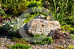 Stones and decorative bushes in landscape design