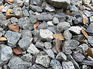 Stones and Dried Leaves photo