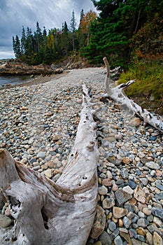 Stones & Driftwood, Little Hunters Beach, Acadia National Park, Maine