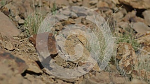 Stones fall slowmotion. Female, fragile legs in red high-heeled shoes walk on stones in the mountains.