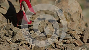 Stones fall slowmotion. Female, fragile legs in red high-heeled shoes walk on stones in the mountains.