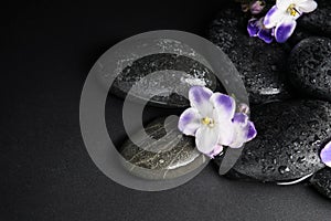 Stones and flowers in water on background. Zen lifestyle