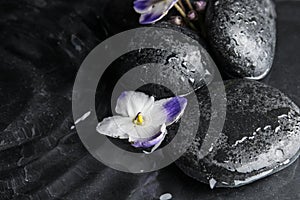 Stones and flowers in water on background. Zen lifestyle