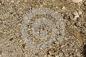 Stones in fresh drinking water. Background