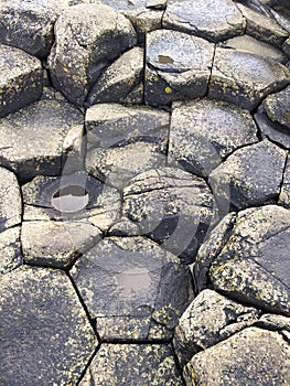 Stones at Giants Causeway