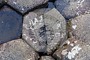 Stones at Giants Causeway