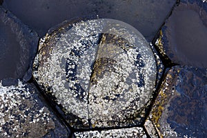 Stones at Giants Causeway