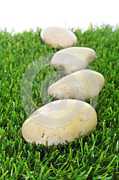 Stones on the grass