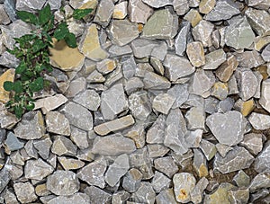 Stones, grass, ground-for the background