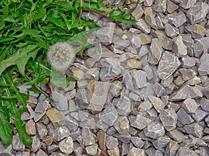 Stones, grass, ground-for the background