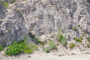Stones and grass, natural stone background, detail of vertical cliff in Dinaric Alps, limestone