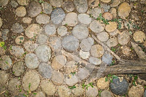 Stones, grass and plant root on ground, used as Background and Texture.