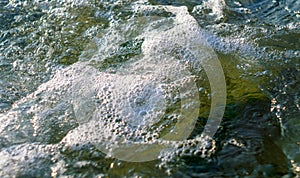 stones with green algae in clear sea water