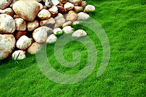 Stones green grass