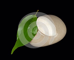 Stones with a green leaf