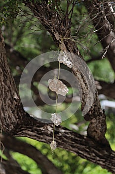 Stones hanging on piece of thread