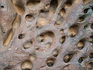 Stones with holes caused by water erosion photo